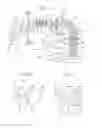 Fig. 02 - EXPOSURE METHOD AND APPARATUS, AND METHOD FOR FABRICATING DEVICE WITH LIGHT AMOUNT DISTRIBUTION HAVING LIGHT LARGER IN FOUR AREAS