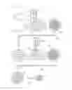 Fig. 22 - EXPOSURE METHOD AND APPARATUS, AND METHOD FOR FABRICATING DEVICE WITH LIGHT AMOUNT DISTRIBUTION HAVING LIGHT LARGER IN FOUR AREAS