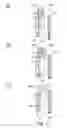 Fig. 22 - Developer supply container and developer supplying system