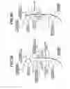 Fig. 04 - Image forming apparatus and recording material determination unit