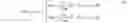 Fig. 05 - Control device, control method, information processing program, and recording medium