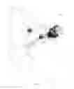 Fig. 03 - Vandal Proof Knob
