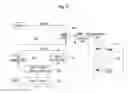Fig. 10 - Display device and method for driving the same