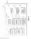 Fig. 05 - Presenting supplemental content