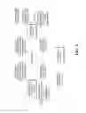 Fig. 06 - Presenting supplemental content
