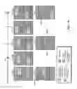 Fig. 58 - Touch screen liquid crystal display