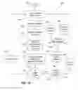 Fig. 08 - Dynamic image compensation for pre-touch localization on a reflective surface