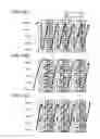 Fig. 14 - Memory system controlling interleaving write to memory chips