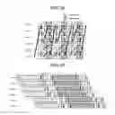 Fig. 24 - Memory system controlling interleaving write to memory chips
