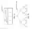 Fig. 08 - Network-wide, location-independent object identifiers for high-performance distributed graph databases
