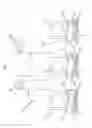 Fig. 02 - Optimizing page table manipulations