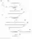 Fig. 01 - Space constrained text translator