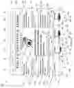 Fig. 05 - Space constrained text translator