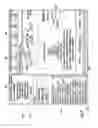 Fig. 09 - INTERACTIVE TRANSLATION TOOL