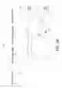 Fig. 05 - Query plan optimization by persisting a hint table