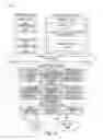 Fig. 11 - Consistent schema-less scalable storage system for orders