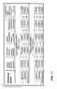 Fig. 48 - Tool to provide integrated circuit masks with accurate dimensional compensation of patterns