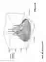 Fig. 47 - Tool to provide integrated circuit masks with accurate dimensional compensation of patterns