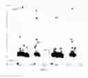 Fig. 05 - Automated scan chain diagnostics using emission