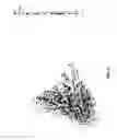 Fig. 05 - Sparse identity spaces in droplet sequencing