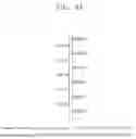 Fig. 05 - METHOD AND APPARATUS FOR PREDICTING HEALTH DATA VALUE THROUGH GENERATION OF HEALTH DATA PATTERN