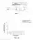 Fig. 02 - Optimization and Individualization of Medication Selection and Dosing