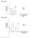 Fig. 22 - Local user authentication with neuro and neuro-mechanical fingerprints