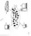 Fig. 02 - Sensitive data obfuscation in output files