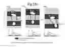 Fig. 35 - Scale-based data access control methods and apparatuses