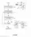Fig. 06 - Identifying consumer products in images