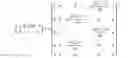 Fig. 41 - Filtering, smoothing, memetic algorithms, and feasible direction methods for estimating system state and unknown parameters of electromechanical motion devices