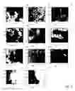 Fig. 02 - Methods and apparatus to facilitate dynamic classification for market research