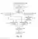 Fig. 19 - SYSTEM AND METHOD FOR CONSUMER MANAGEMENT PURCHASING AND ACCOUNT INFORMATION