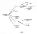 Fig. 07 - Systems and methods for automated promotion to profile matching