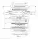 Fig. 10 - WEBSITE CREATION FROM MOBILE DEVICE DATA