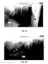 Fig. 12 - Methods and systems for large-scale determination of RGBD camera poses