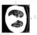 Fig. 03 - Methods and systems and dynamic visualization