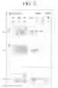 Fig. 10 - User terminal apparatus and control method thereof