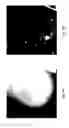Fig. 10 - Anomaly detection in medical imagery