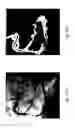 Fig. 12 - Anomaly detection in medical imagery