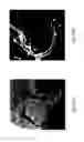 Fig. 14 - Anomaly detection in medical imagery