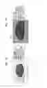 Fig. 07 - Medical imaging apparatus and method of operating same