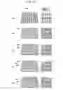 Fig. 13 - Tactile information supply module