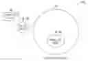 Fig. 01 - Branch device geo-fencing pairing security