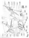 Fig. 12 - Method and device to improve the flying abilities of the airborne devices operator