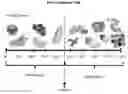 Fig. 01 - Methods and kits for identifying food sensitivities and intolerances