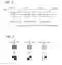 Fig. 03 - Display device and method for driving same
