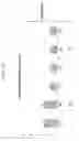 Fig. 18 - Liquid crystal display and driving method thereof