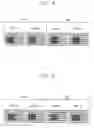 Fig. 08 - Method of driving odd and even gate lines of a display panel, and display apparatus for performing the same