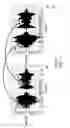 Fig. 02 - Method and apparatus for enhancing alveolar trill